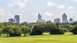 Dorothea Dix Park skyline view